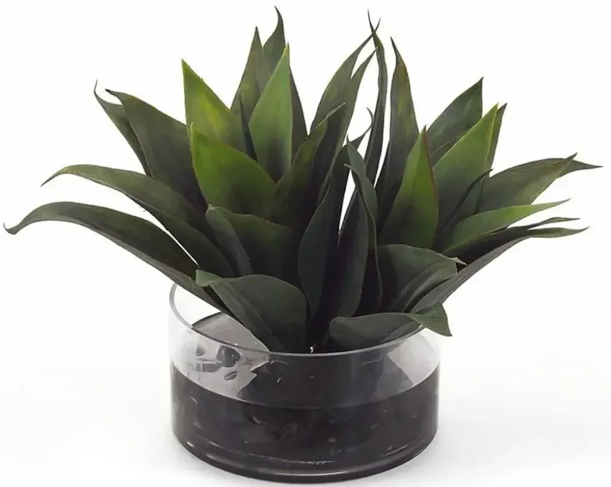 John-Richard Modern Classic Aqua Agave