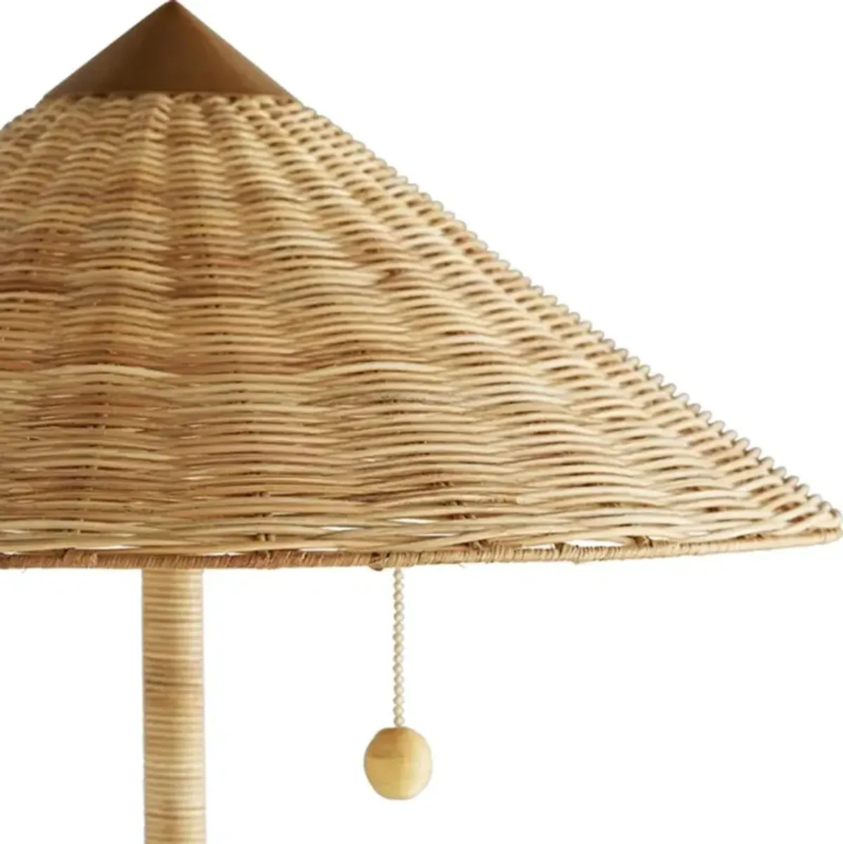 Terrace Coastal Beach Gold Iron Handwoven Rattan Floor Lamp