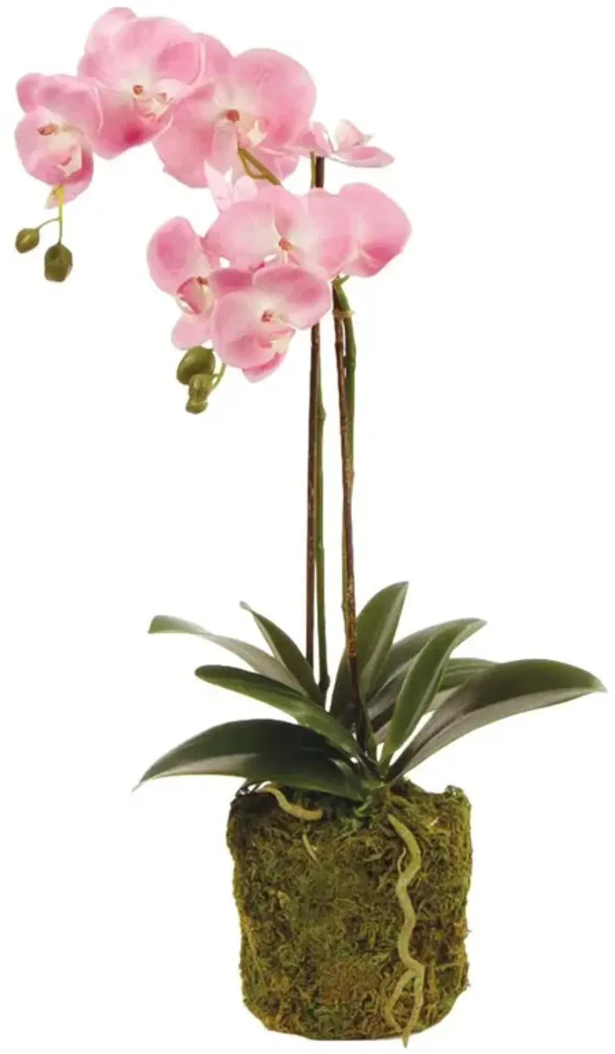 Angel French Country Pink Phalaenopsis Orchid Drop In Faux Floral - Small