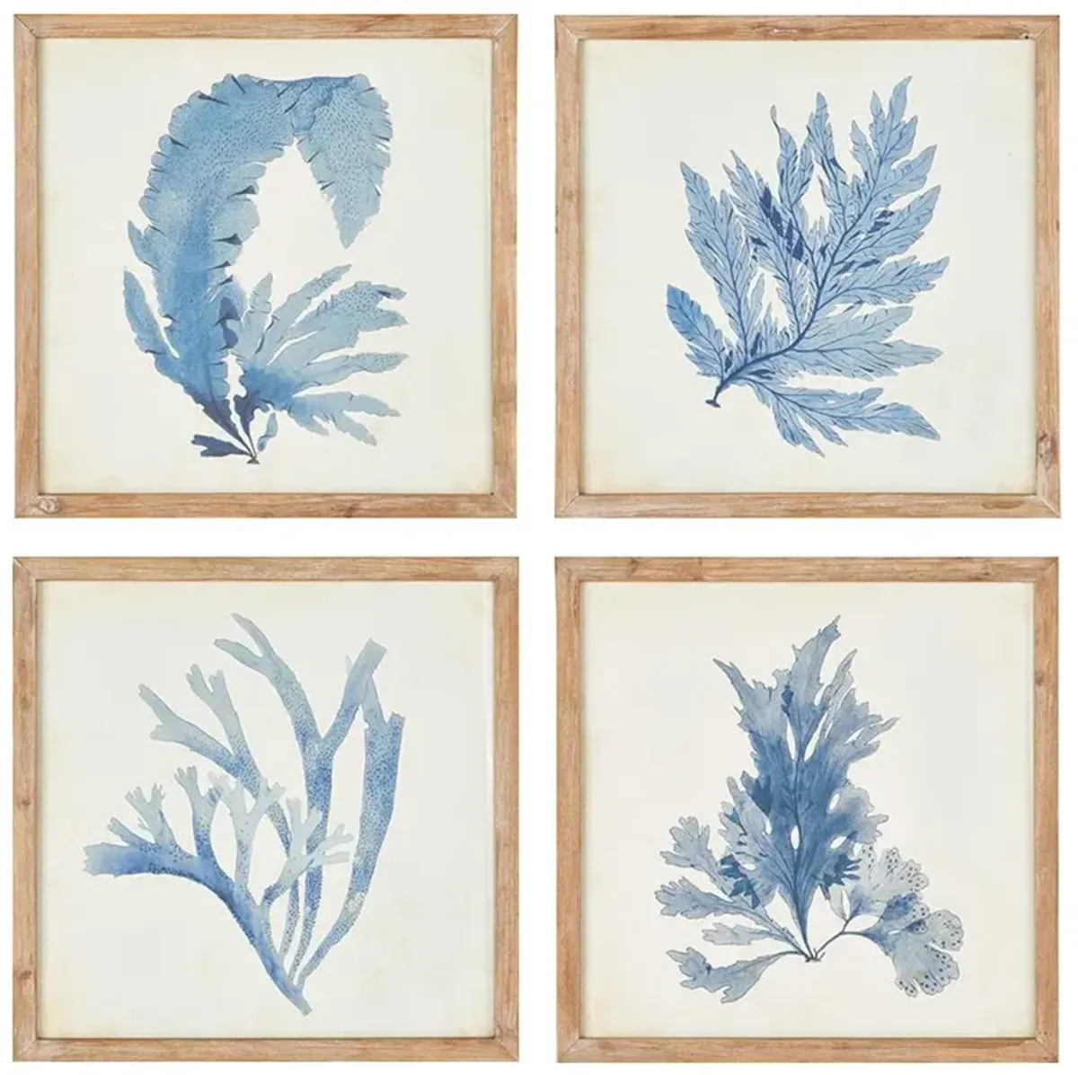 Nyla Coastal Beach Brown Floral & Botanical Natural Frame Painting