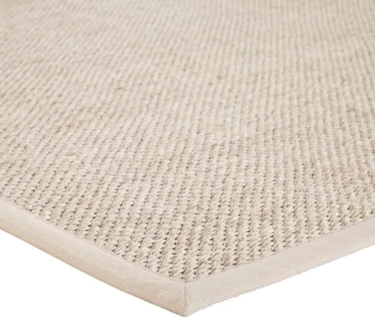 Neville Coastal Beach Beige Sisal Solid Border Rug - 9'x12'
