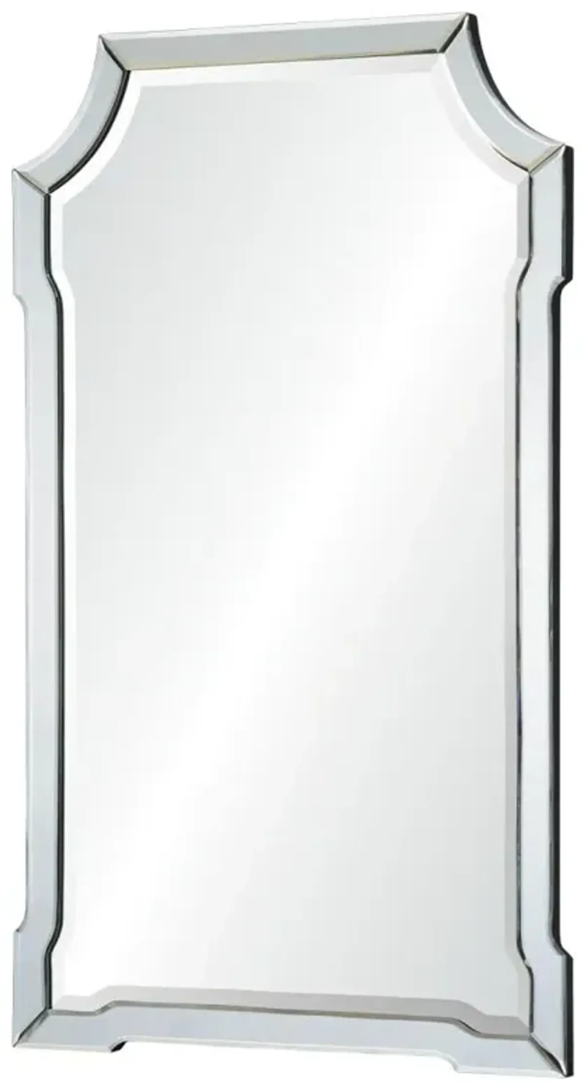 Rhian Modern Classic Beveled Mirror Framed Novelty Wall Mirror