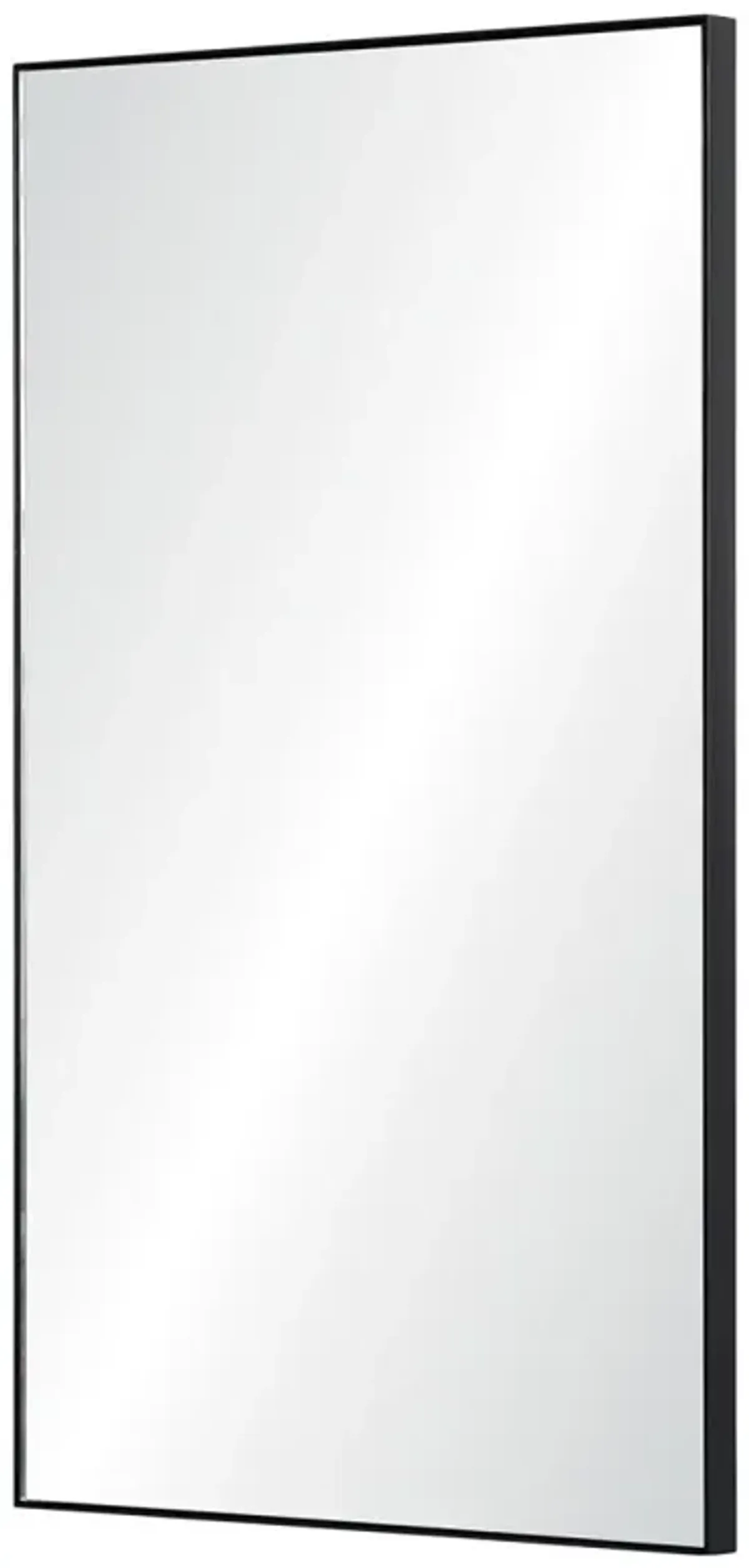 Yen Modern Classic Black Stainless Steel Frame Rectangle Wall Mirror - Small