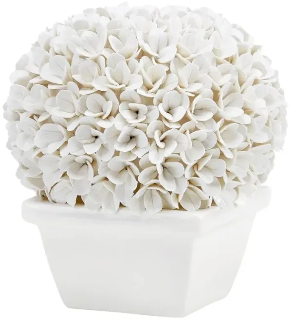 Boston French Country Blanc De Chine Porcelain Boxwood Topiary