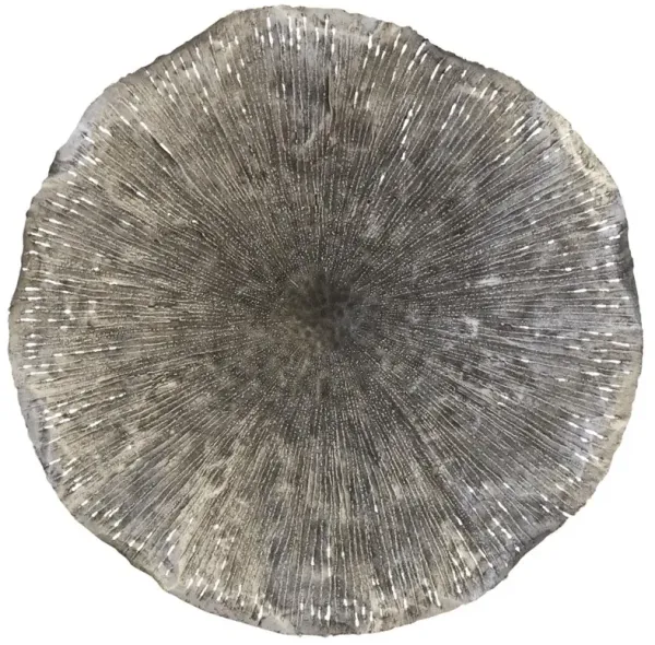 Danica Modern Silver Lotus Wall Art - Large