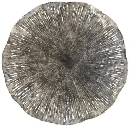 Silver color