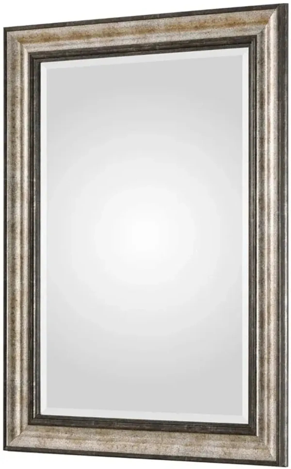 Fiona Modern Classic Two Tone Silver Bronze Wood Beveled Wall Mirror