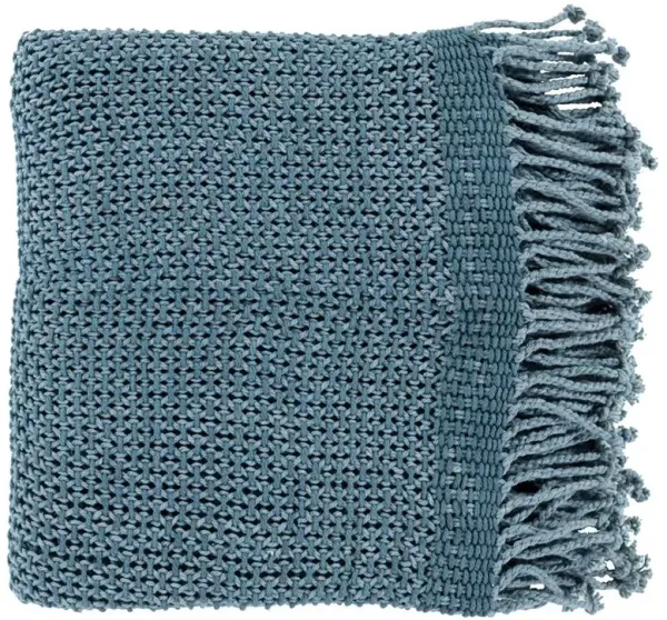 Agatha Modern Classic Blue Cotton Woven Throw Blanket