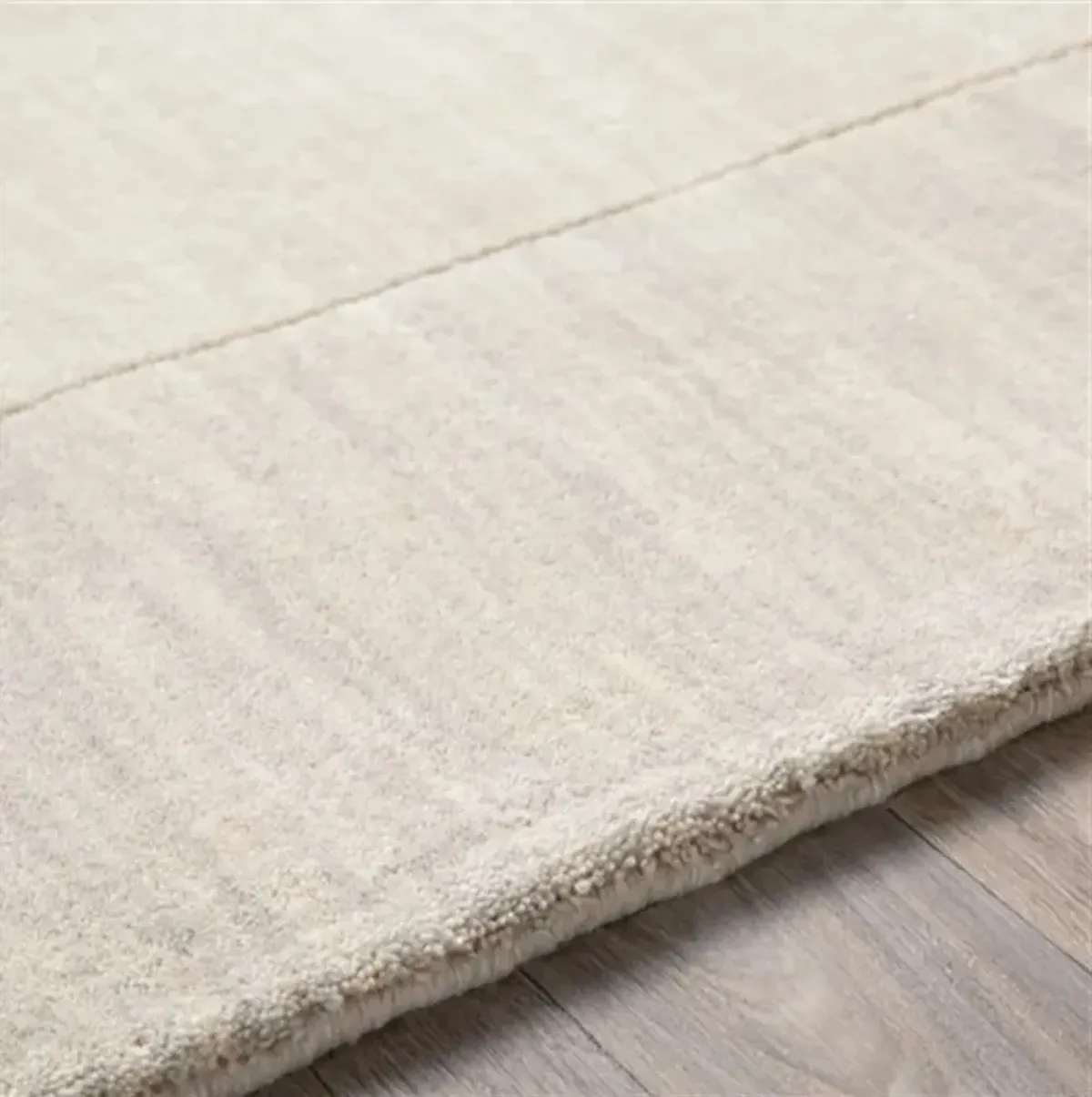 Norah Modern Classic Beige Border Wool Solid Rug - 3'3"x5'3"