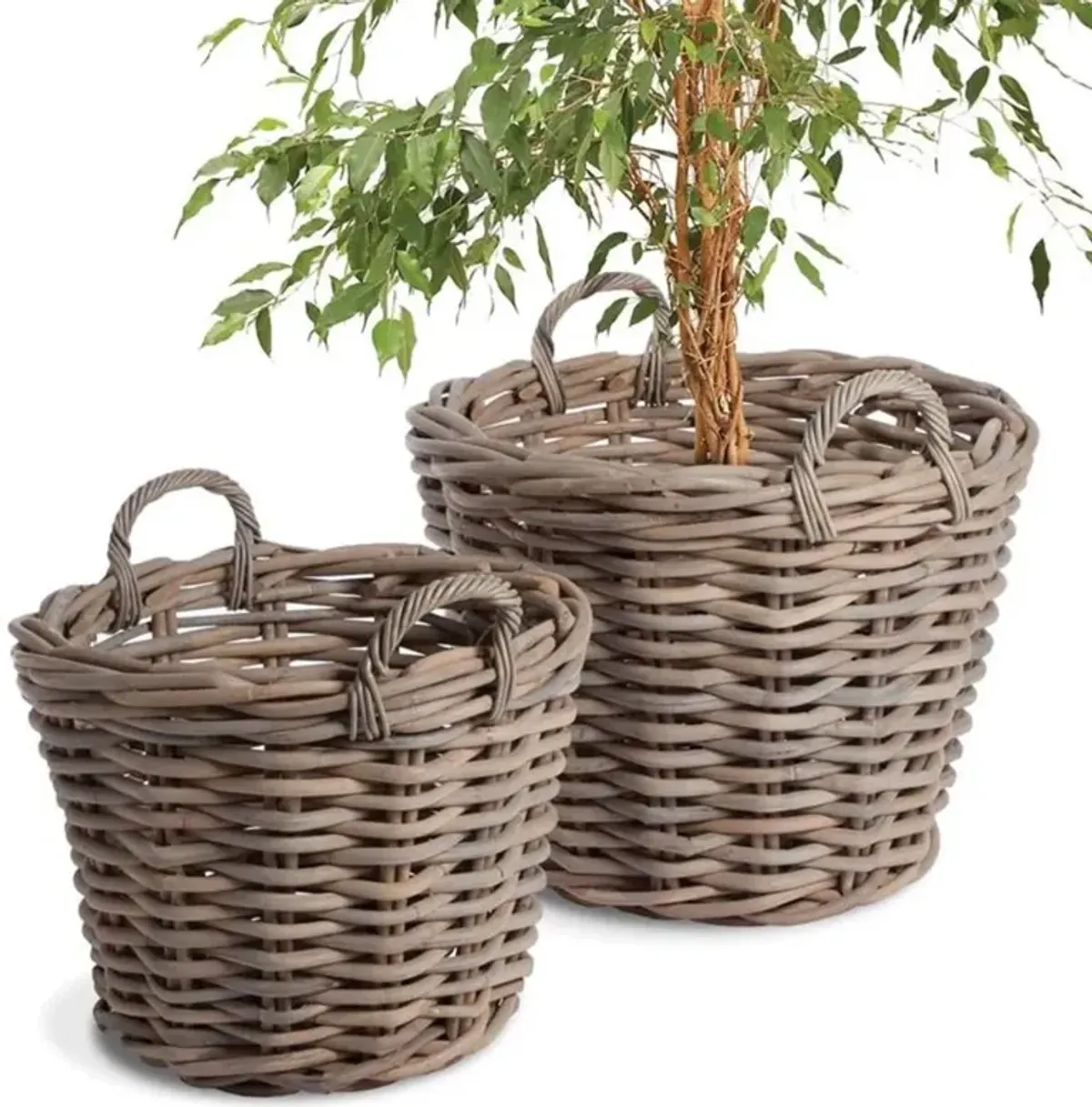 Norman Coastal Beach Grey Woven Rattan Tree Basket - Set of 2