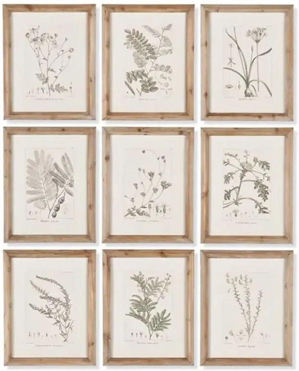 Ling French Country Brown Floral & Botanical Natural Frame Illustration