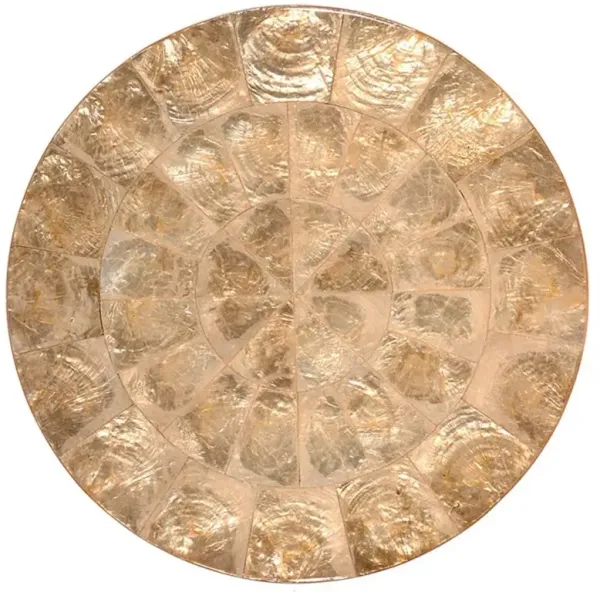 Capiz Coastal Beach Champagne Shell Placemat - Set of 4
