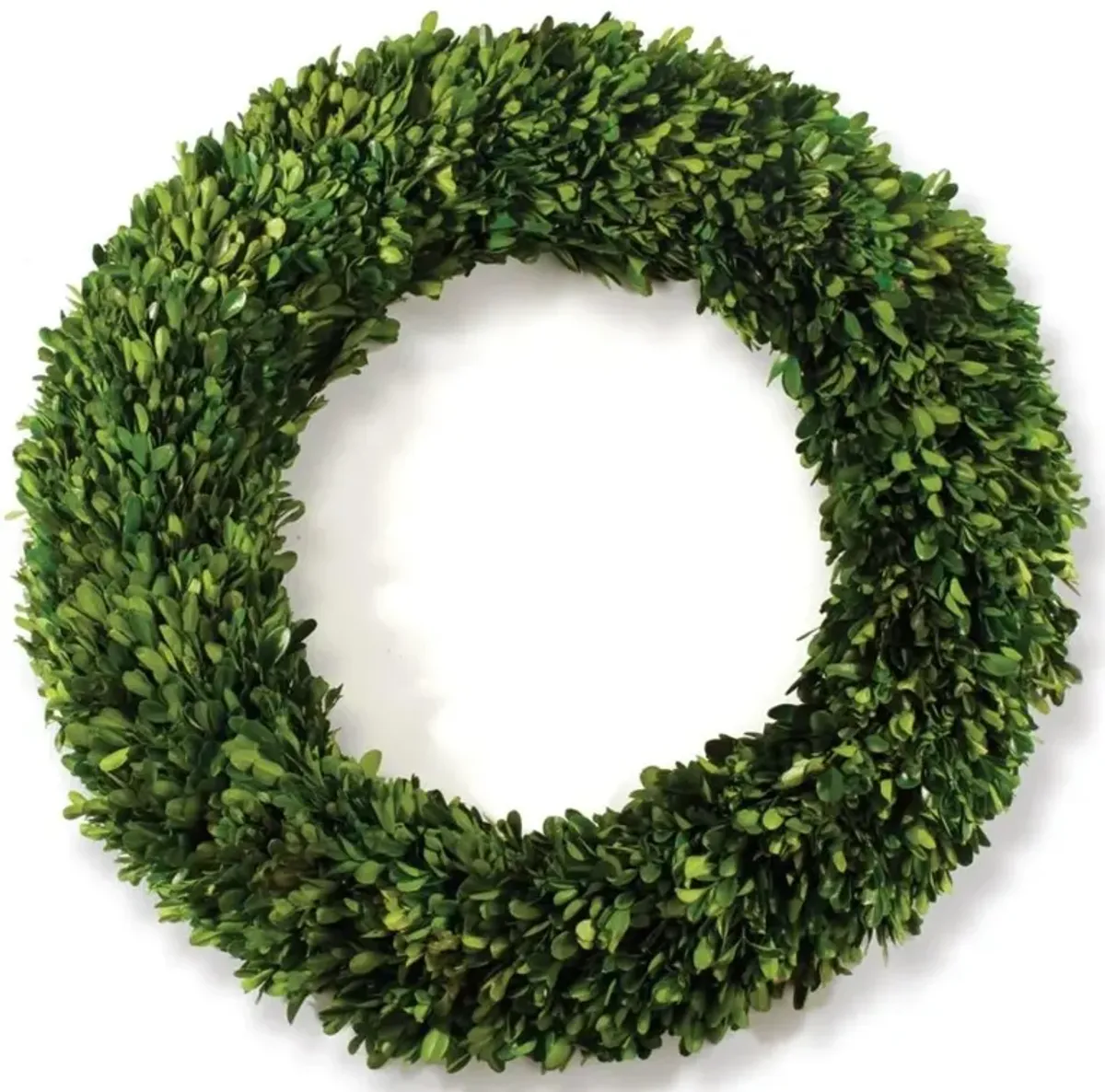 Marin French Country Green Boxwood Wreath - 16"