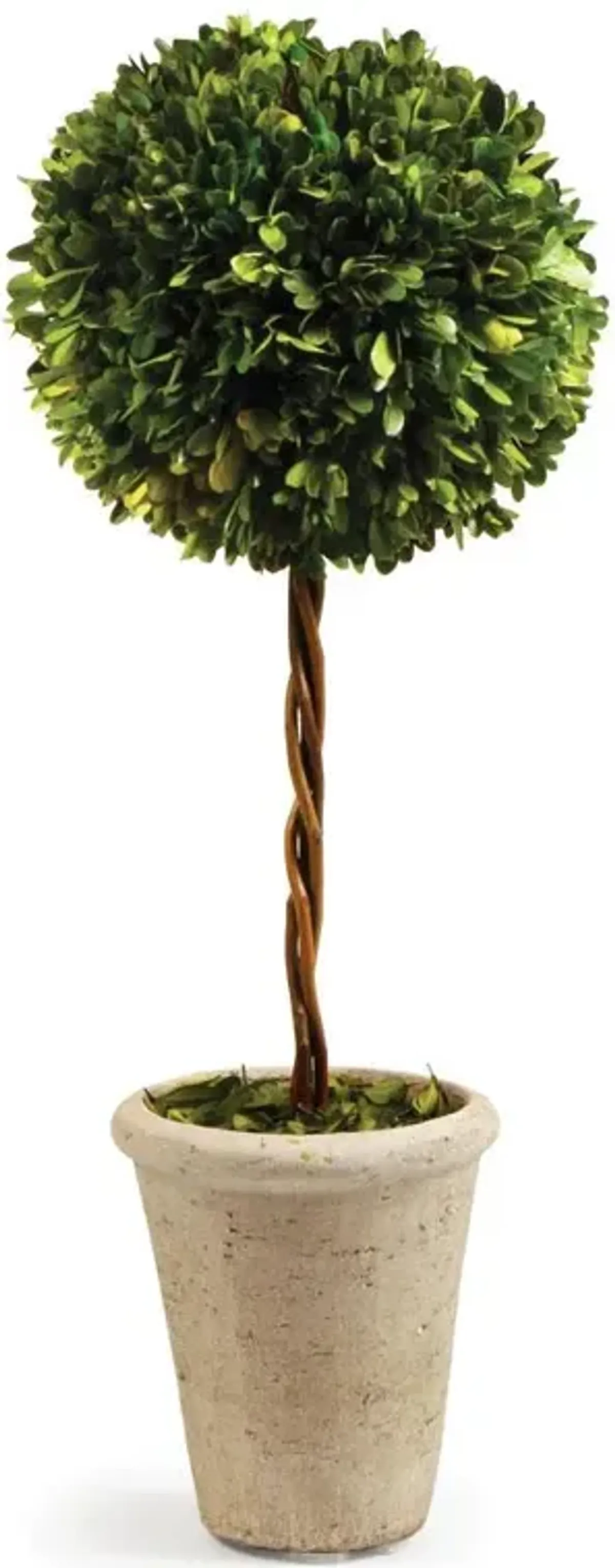 Marin French Country Green Boxwood Single Sphere Topiary - Large
