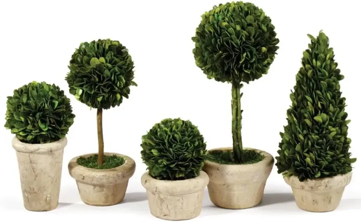 Marin French Country Green Boxwood Potted Topiaries - Set of 5