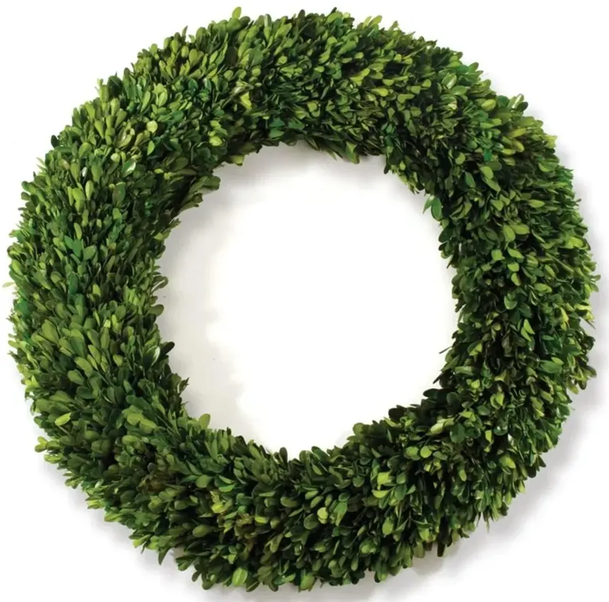 Marin French Country Green Boxwood Wreath - 24"