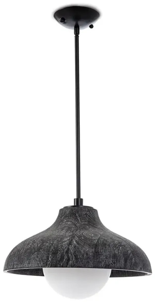 Surfside Black Birch Wood Pendant