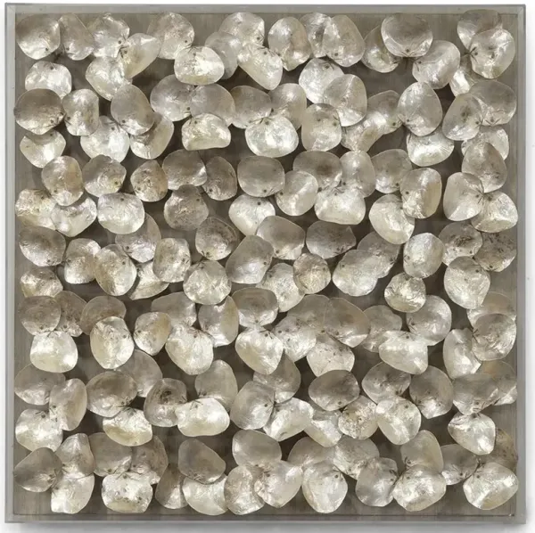 Palecek Playa Cultured Oyster Shell Nature Acrylic Frame Mixed Media - Square