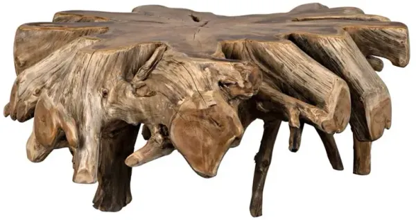 Tinley Rustic Lodge Brown Teak Root Statement Coffee Table