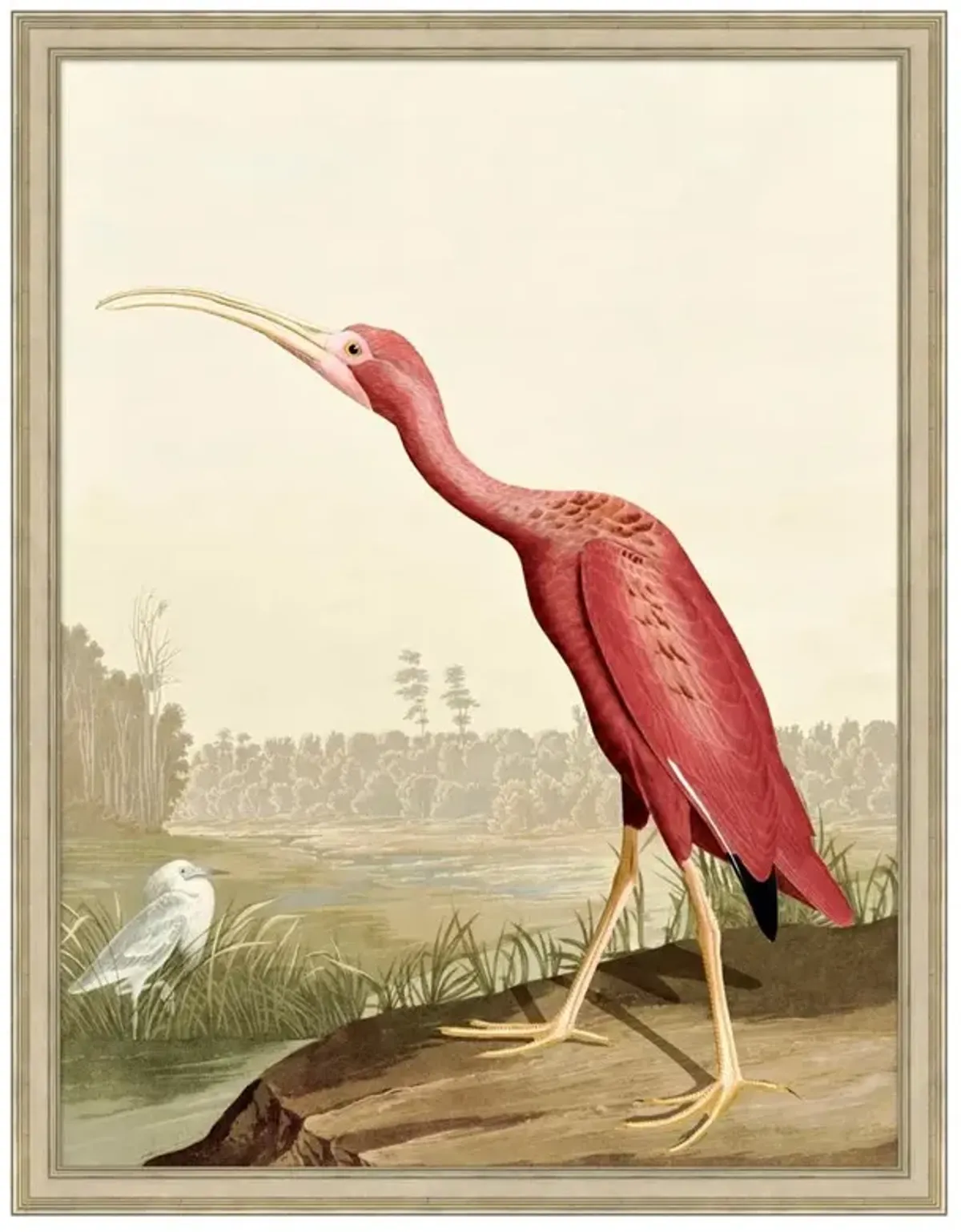 Lina French Country Brown Animals & Nature Natural Frame Illustration