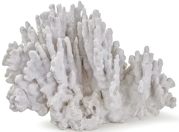Coastal Beach White Resin Coral Decorative Sculpture
