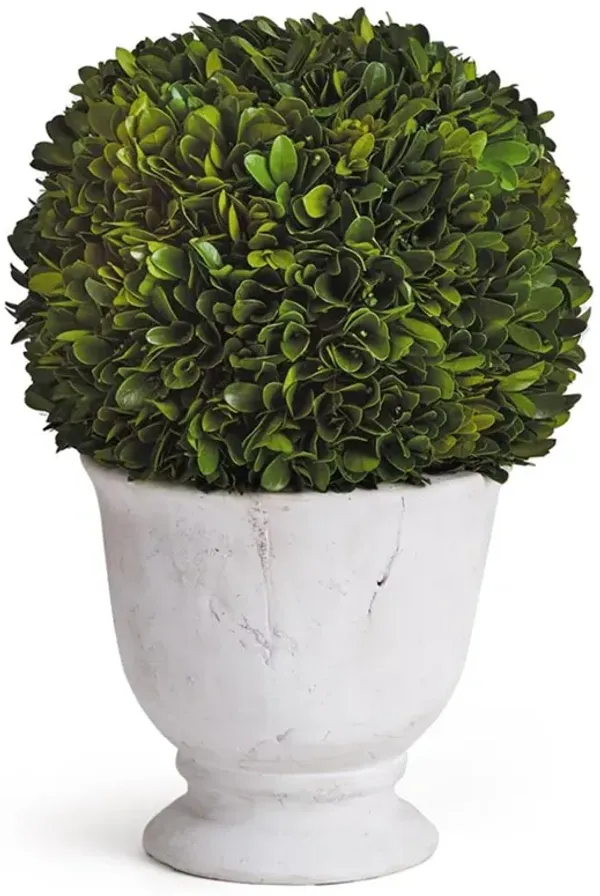 Landon French Country Green Boxwood Ball Potted Topiary - Large