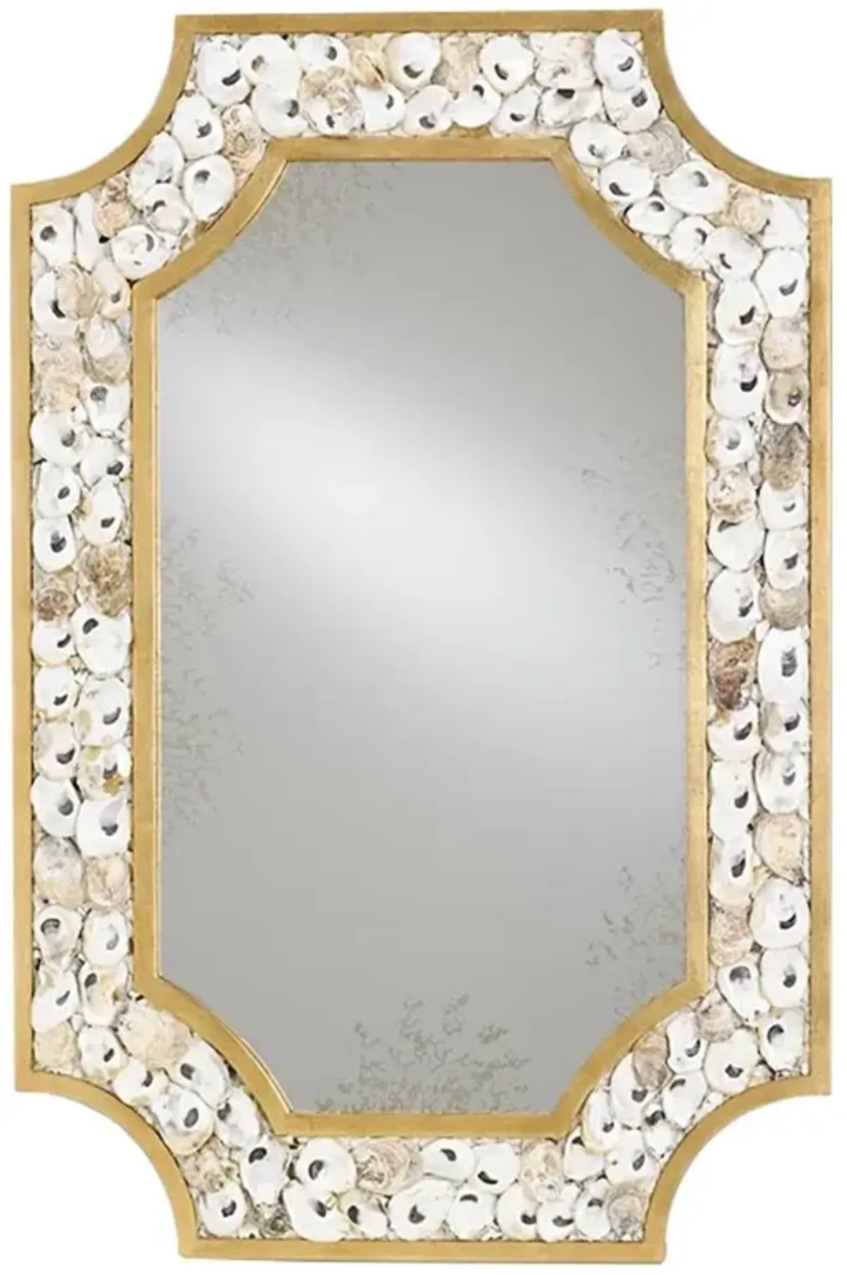 Gretel Coastal Beach Gold Iron Frame Natural Oyster Shell Wall Mirror