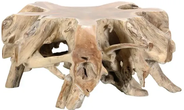 Prescy Coastal Beach Natural Teak Wood Root Coffee Table