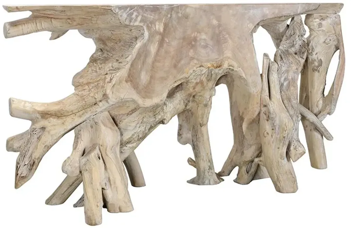 Prescy Coastal Beach Natural Teak Wood Root Console Table - Large