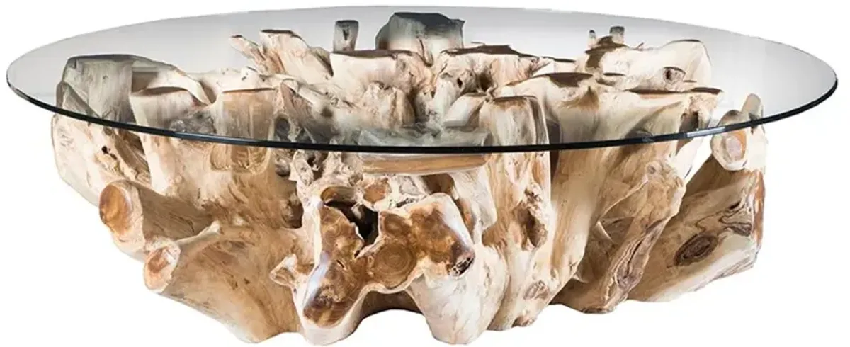 Natasha Coastal Beach Clear Glass Top Natural Teak Root Coffee Table