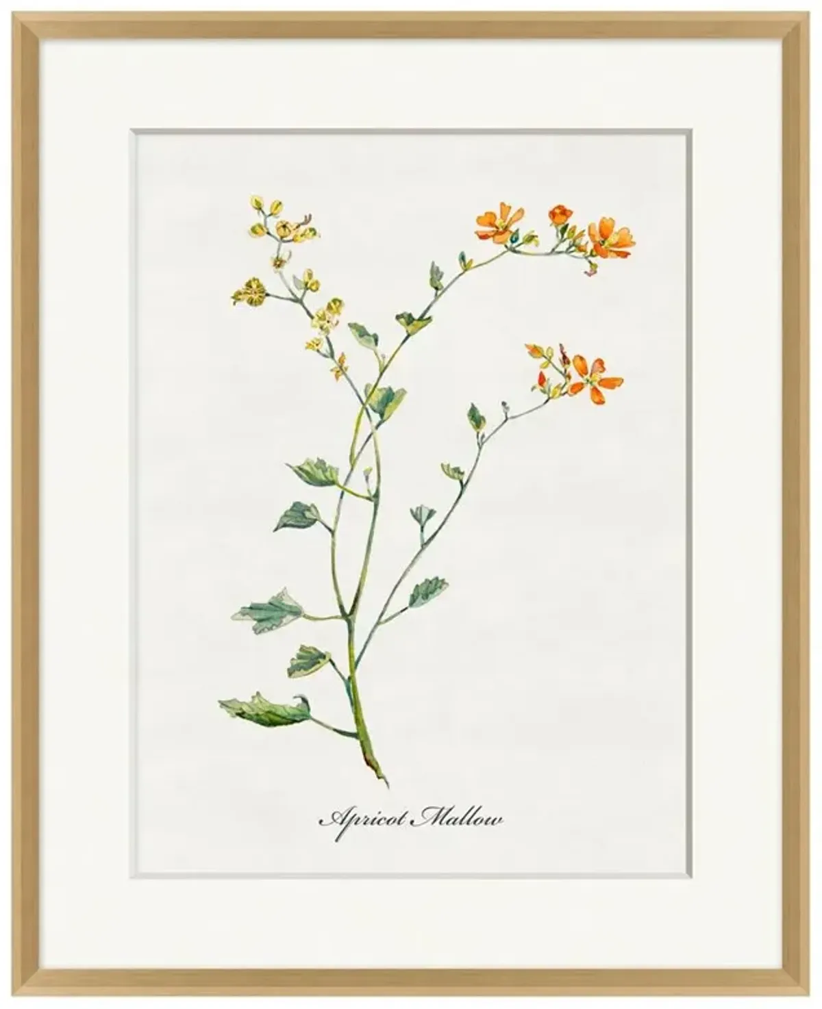 Emily French Country White-Ivory Floral & Botanical Natural Frame Painting 1