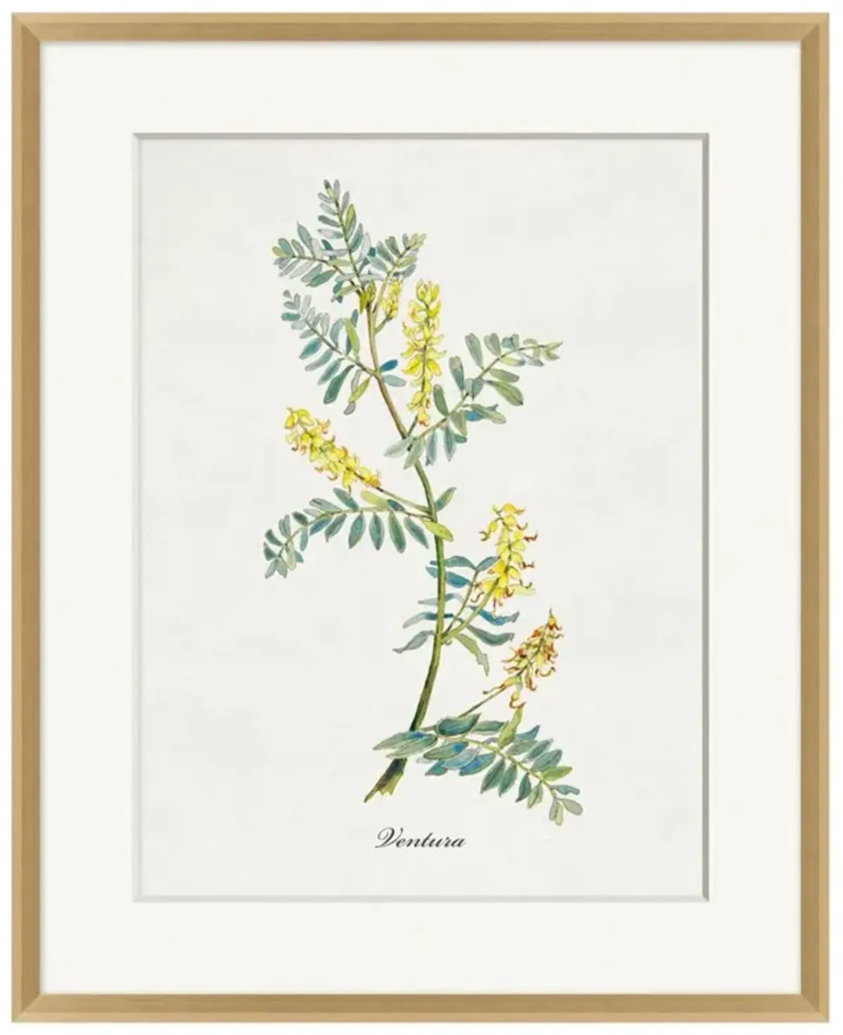 Emily French Country White-Ivory Floral & Botanical Natural Frame Painting 4