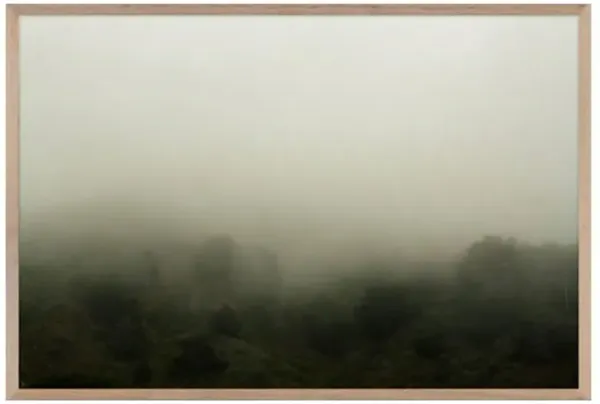 Norcal 10 Photograph - 36x24