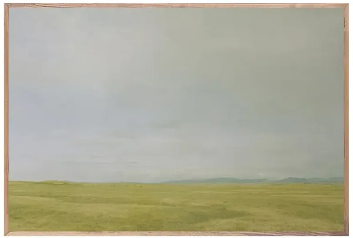 Summer Gold Photograph - 45x30