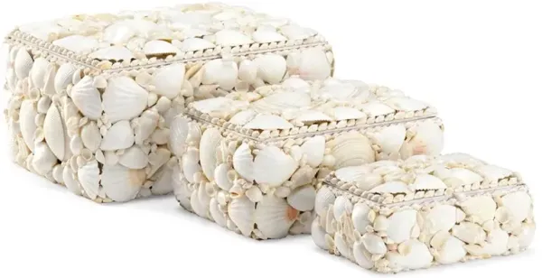 Lupis Coastal Beach Natural White Shell Decorative Boxes - Set of 3