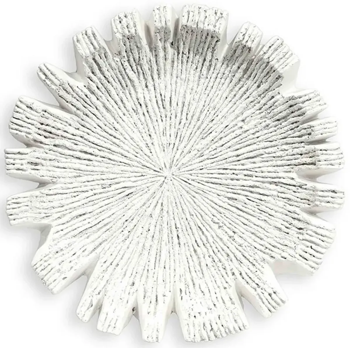 Palecek Reef Coastal Beach White Stone Cast Outdoor Wall Decor - Small