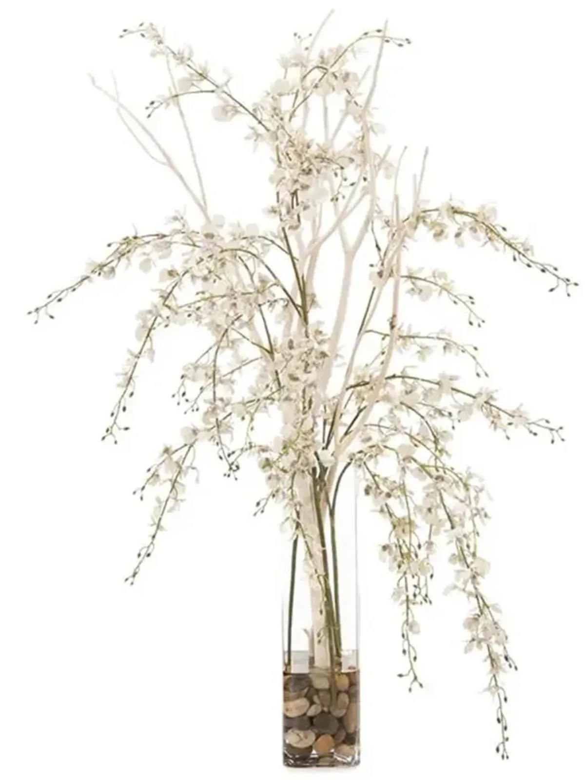 John-Richard Modern Classic Natural White Mitsumata Orchids In Cube Vase