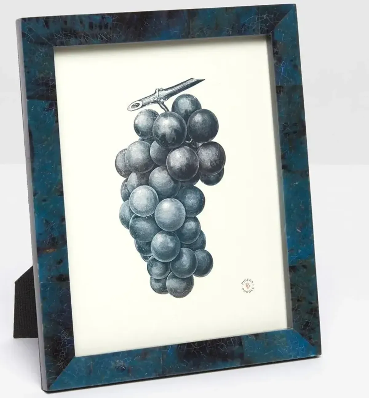 Pigeon And Poodle Colmar Coastal Beach Dark Blue Pen Shell Picture Frame - 8x10