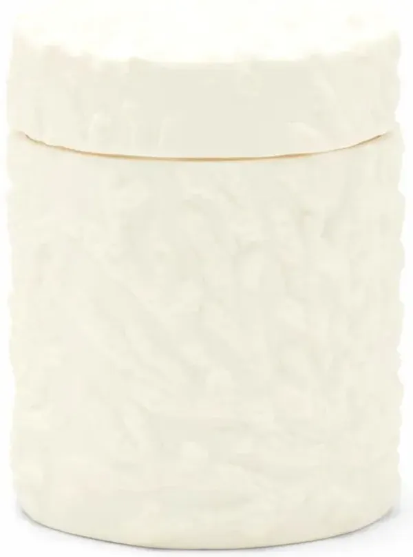 Pigeon and Poodle Alanya French Country White Porcelain Canister - Large