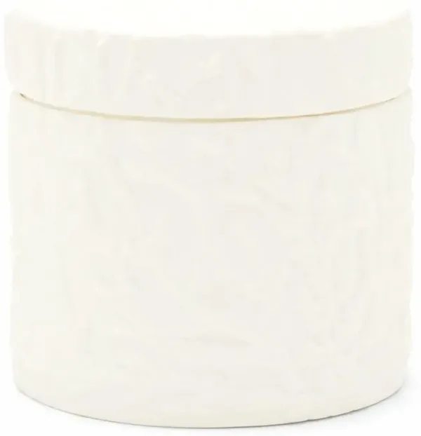 Pigeon and Poodle Alanya French Country White Porcelain Canister - Small