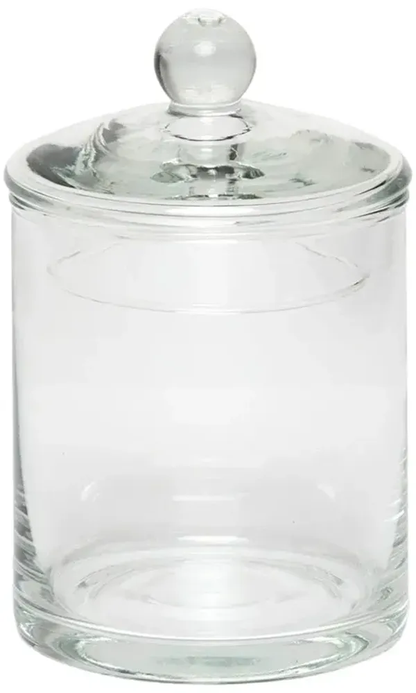 Pigeon and Poodle Darby Modern Classic Clear Glass Canister - Medium