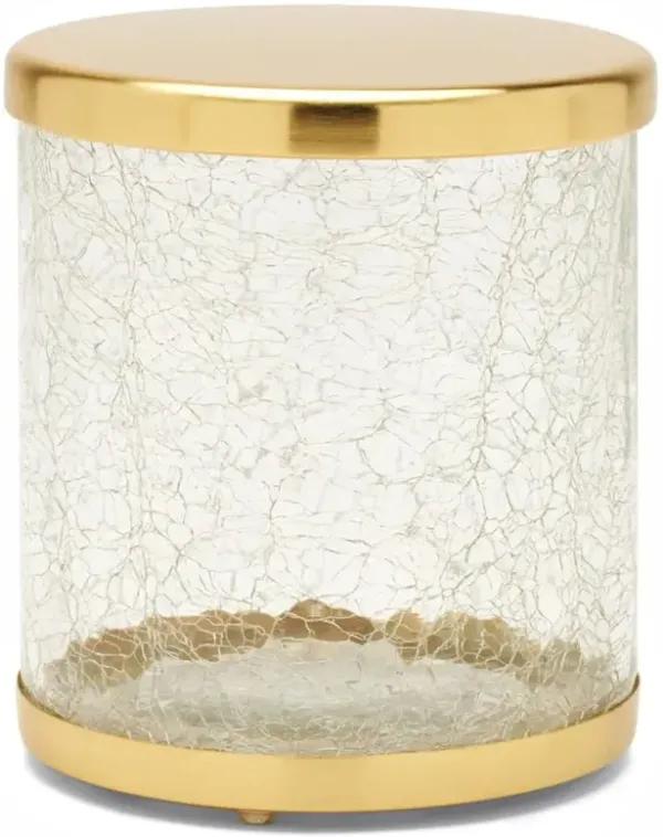 Pigeon and Poodle Pomaria Hollywood Gold Accent Clear Glass Canister - Large