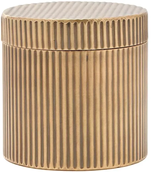 Pigeon and Poodle Redon Modern Antique Brass Ribbed Metal Canister - Large