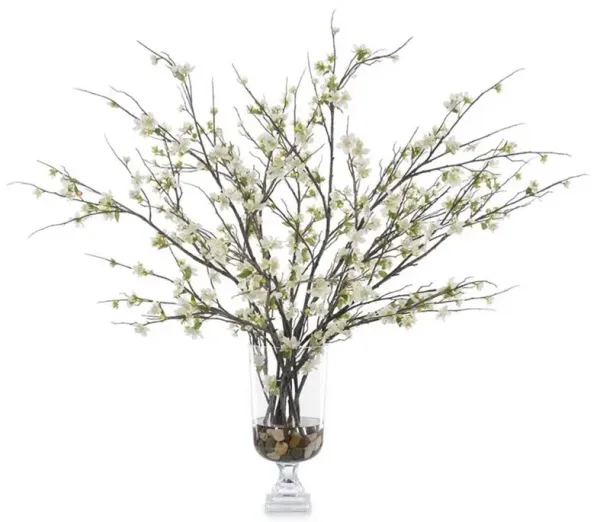 John-Richard Bursting With Blooms French Country White Apple Blossoms