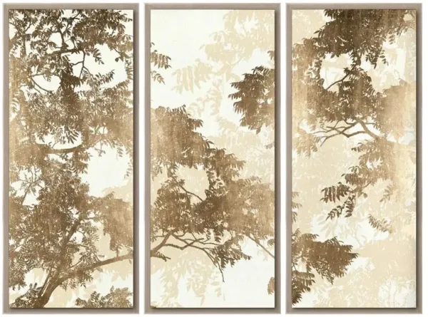 Leonidas French Country Sunrays Tree Branches Clear Frame Triptych Photograph