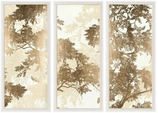 Leonidas French Country Sunrays Tree Branches White Frame Triptych Photograph