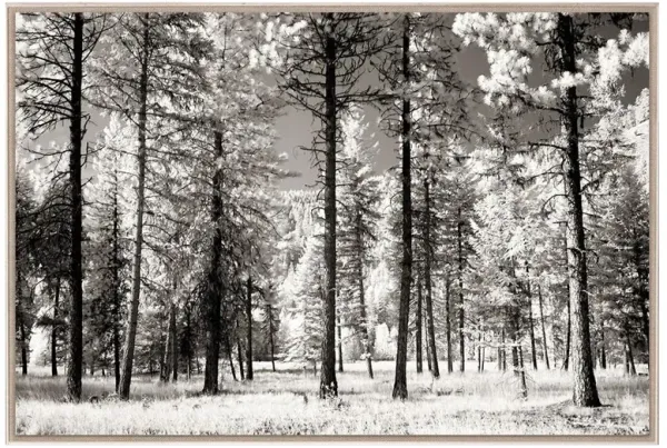 Karen Rustic Lodge The Trees Nature Acrylic Frame Photograph