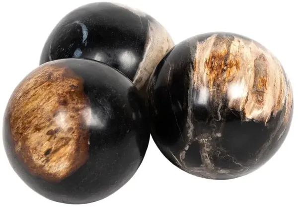 Conor Rustic Lodge Black Accent Brown Wood Round Decorative Objects - Set of 3