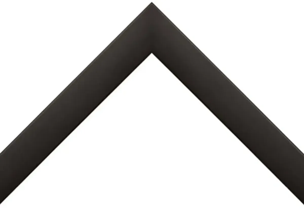 Singular Matte Black Frame Photograph - 60x40