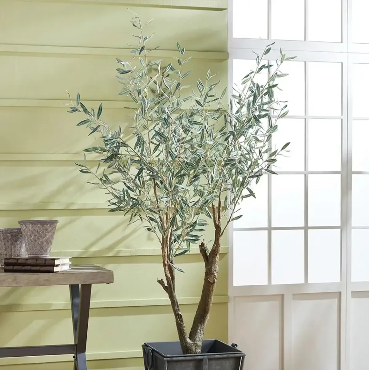 Apollo French Country Green Grand Olive Drop In Potted Tree - Small